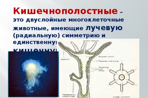 Сайт тор кракен