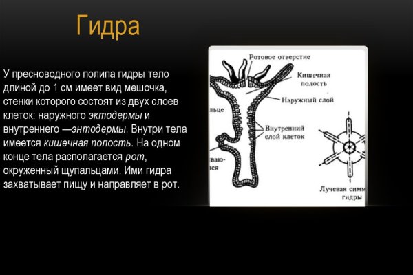 Кракен почему не заходит